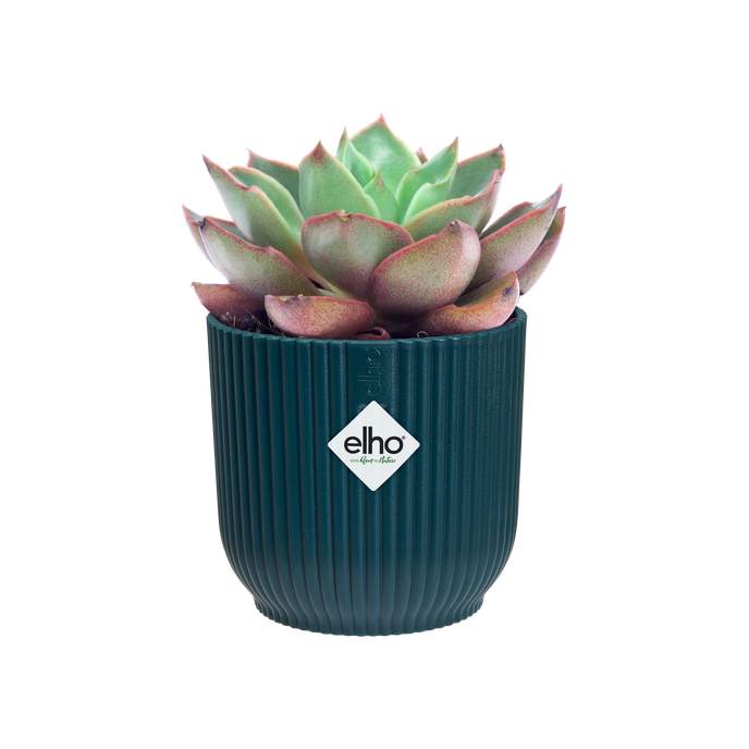 vibes fold rund mini 9cm tiefes blau